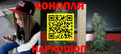 стаф Тверь