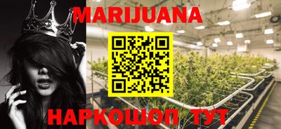 стаф Тверь
