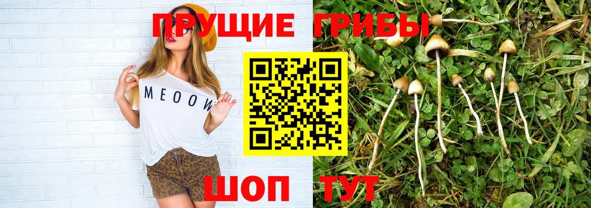Псилоцибиновые грибы мухоморы Серпухов