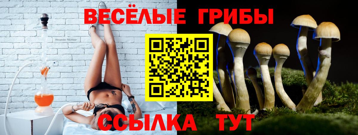 Псилоцибиновые грибы Psilocybe  Псилоцибиновые грибы MAGIC MUSHROOMS  Вход с VPN  Серпухов 